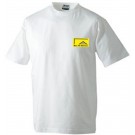color:white